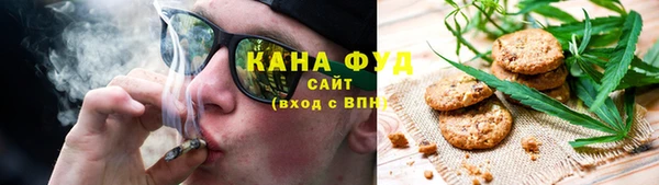 ALPHA PVP Инсар