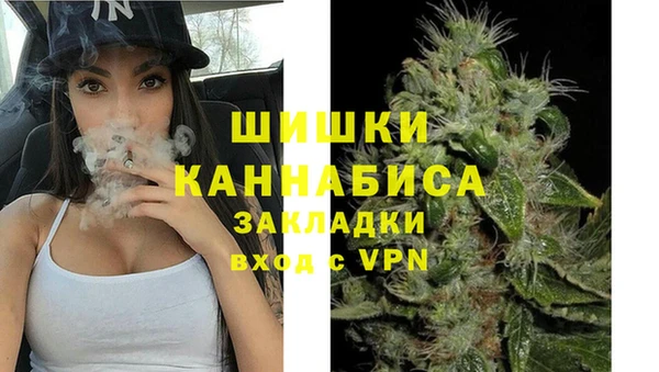 ALPHA PVP Инсар
