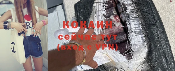 ALPHA PVP Инсар