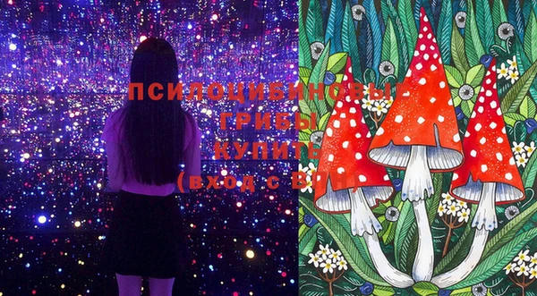 ешки Иннополис