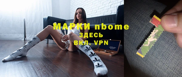 ALPHA PVP Инсар