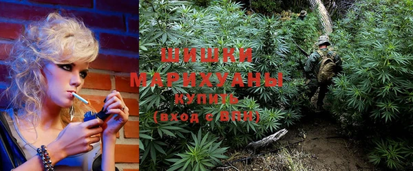 ALPHA PVP Инсар